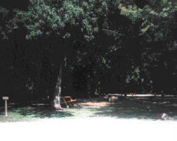 constrct.gif (8431 bytes)