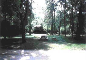 constrct.gif (8431 bytes)