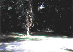 constrct.gif (8431 bytes)