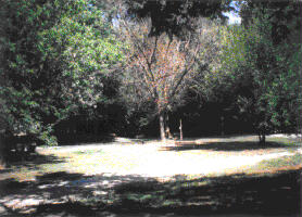 j0286720.gif (4058 bytes)