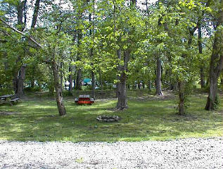 Site # 202