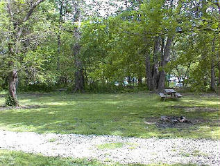 Site # 203