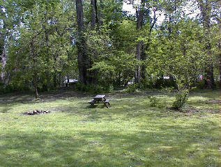 Site # 204