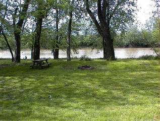 Site # 205