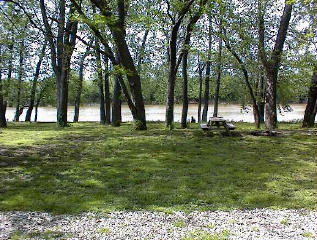 Site # 206