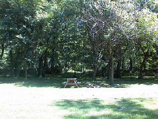 Site # 210