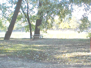 Site # 218